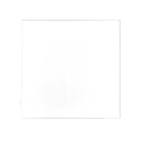 Penedes Blanco 20x20 cm Penedes Blanco 20x20 cm