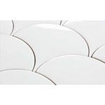 Hawaiian Blanco 12.5x6.3 cm